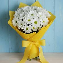 Букет цветов из:  Хризантемы в Приволжье