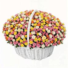 Премиум букет из: Розы #REPLACE_PRED# Приволжье