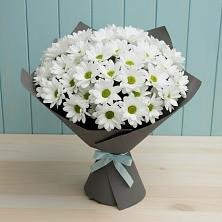 Букет цветов из:  Хризантемы в Приволжье