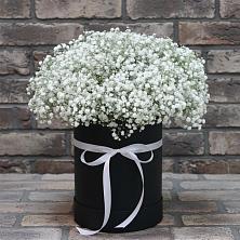 Цветочная композиция из Гипсофила в шляпной коробке в Приволжье